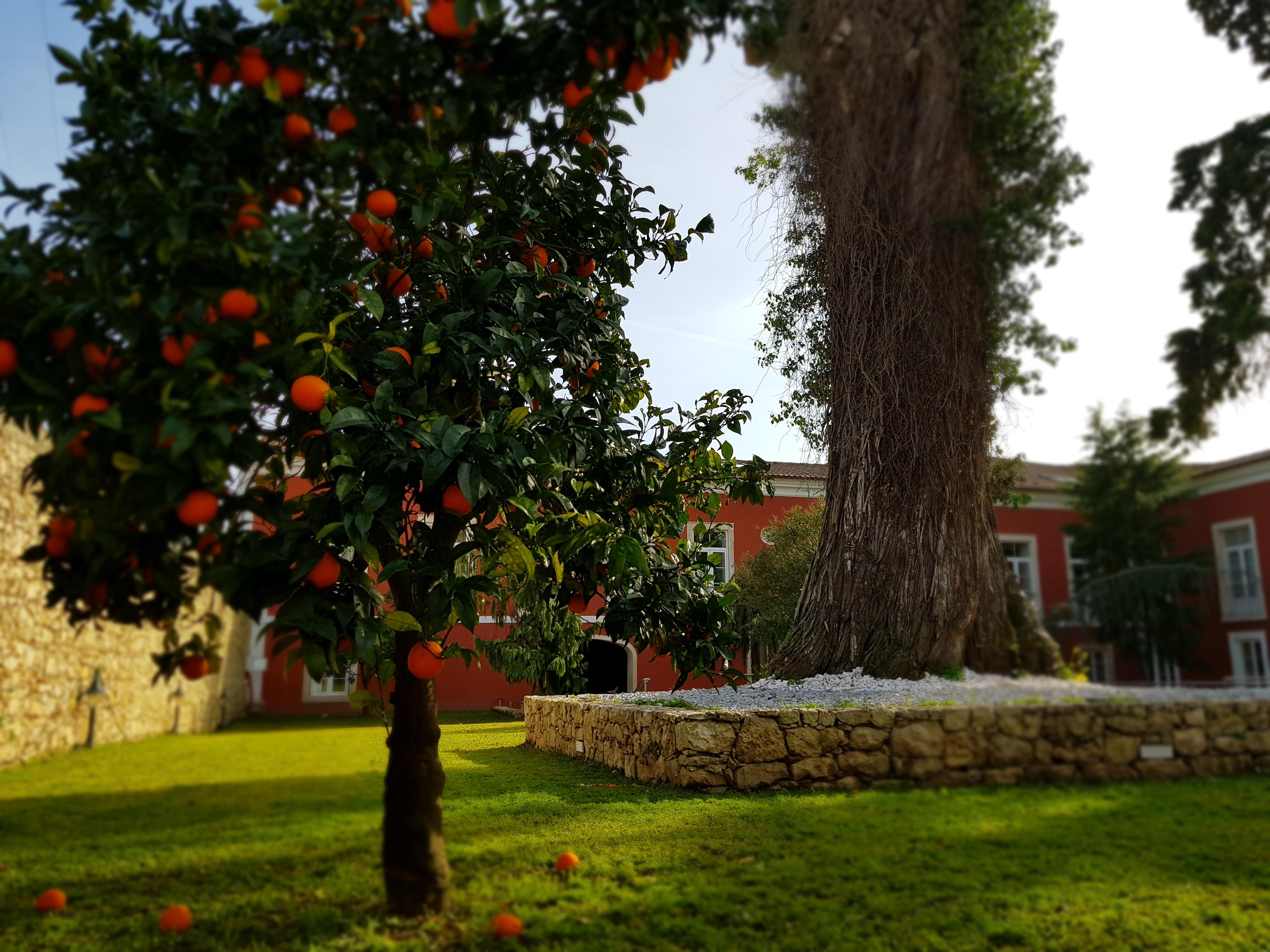 Palacio Sao Silvestre-Boutique Hotel Coimbra Kültér fotó